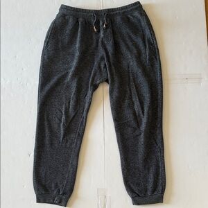 Tentree Gray Jogger Sweatpants